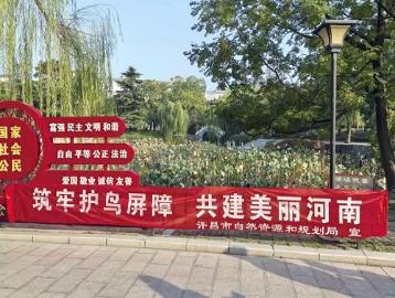 市自然资源和规划局组织开展野生动物保护宣传活动